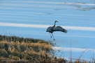 Landing and turning